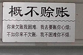 舟山为什么选择专业追讨公司来处理您的债务纠纷？